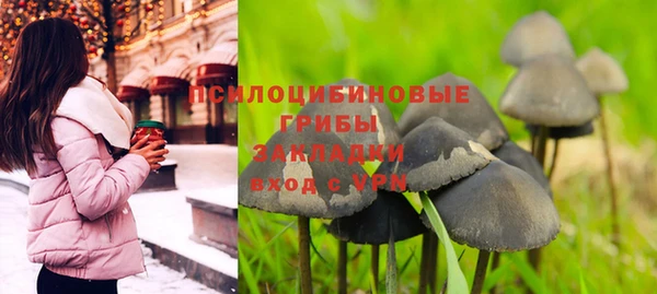 спайс Алзамай